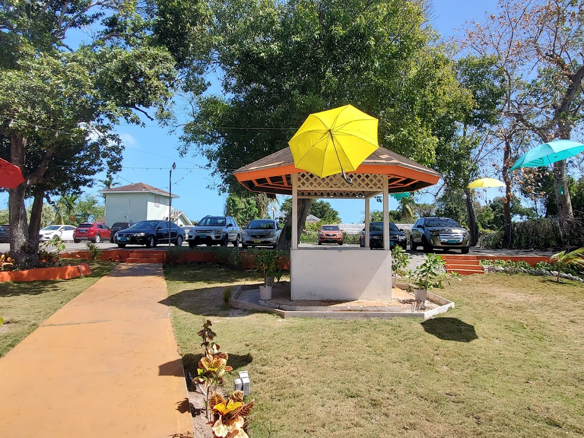 Sunny Haven - Photo 7