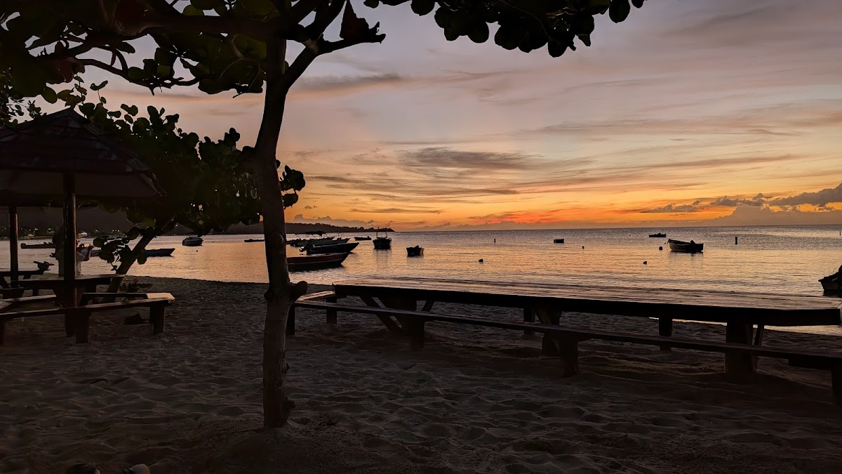 Coconut Beach Restaurant & Bar - Photo 6