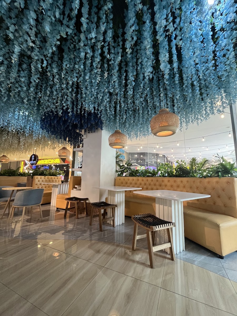 Wiltlover Cafe - Fairview