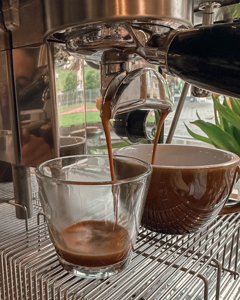 ToGoKaffeehaus - Photo 5