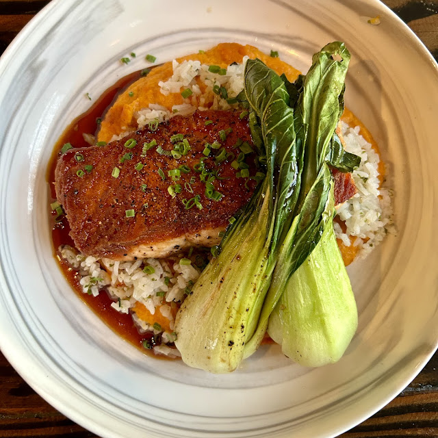 Salmon