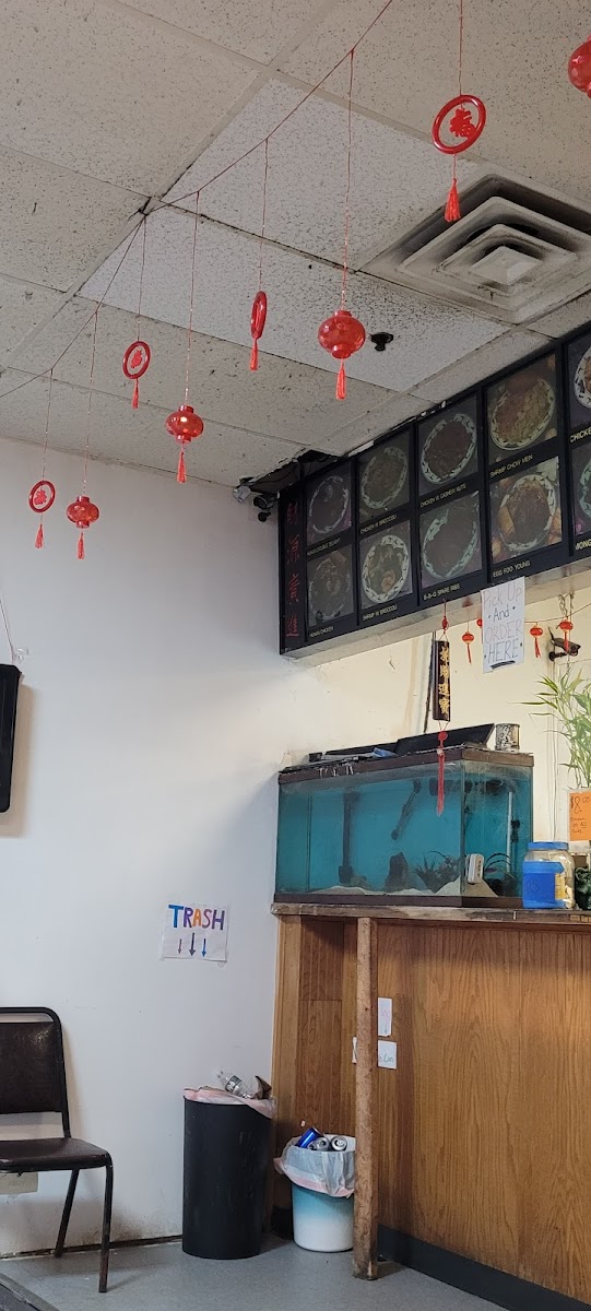 China One - Photo 5