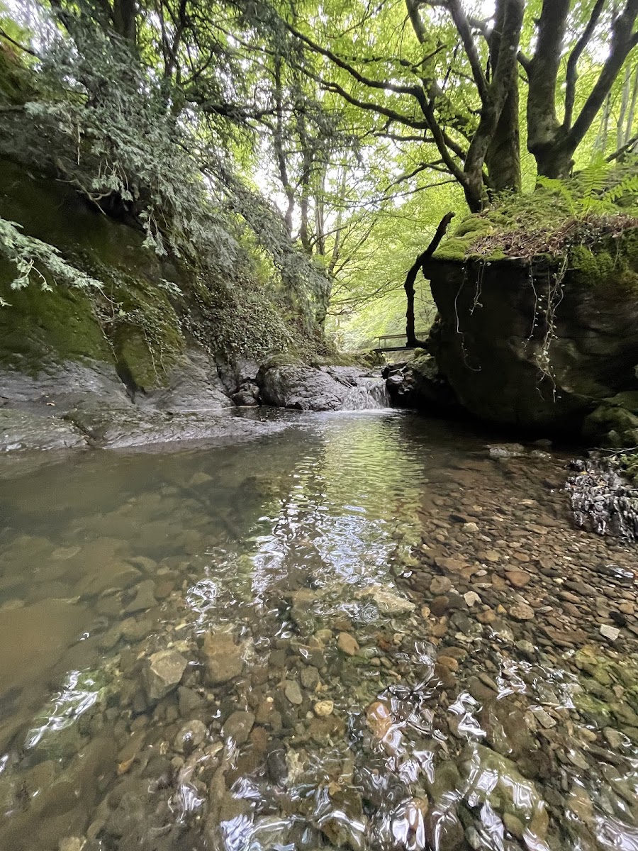 Lizarrusti Jatetxea - Photo 3