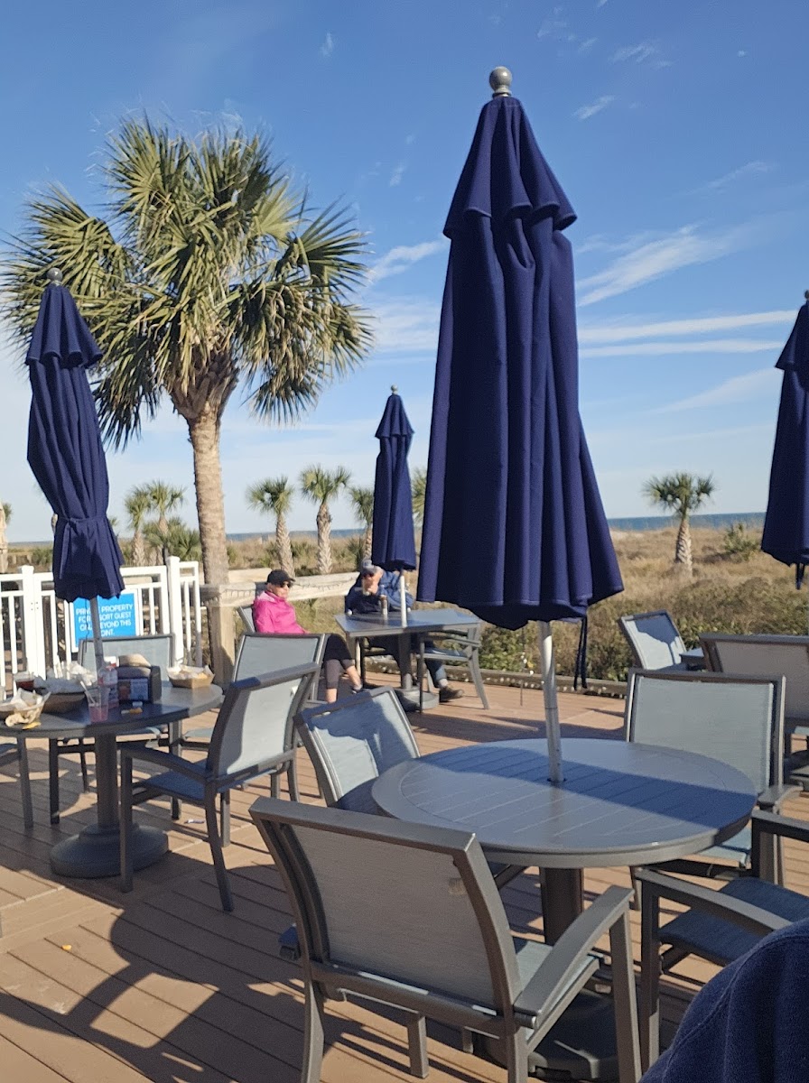 Loggerhead Landing