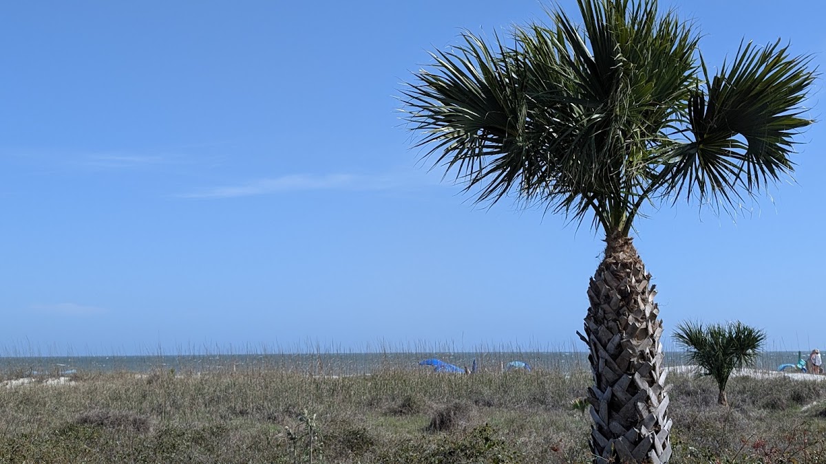 Loggerhead Landing - Photo 7