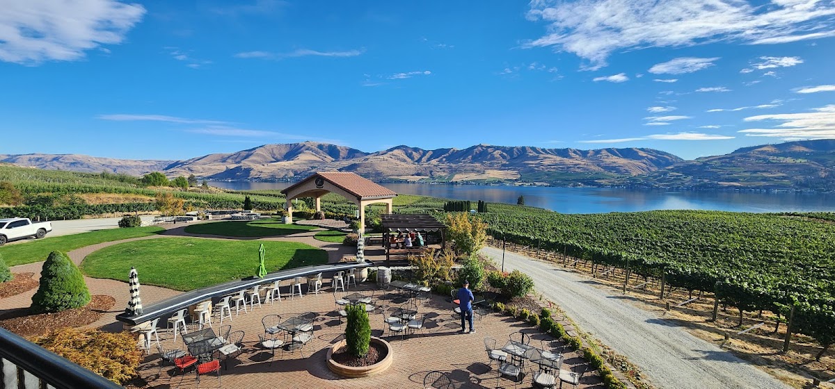 CAFE MYTH @ Benson Vineyards - Photo 3