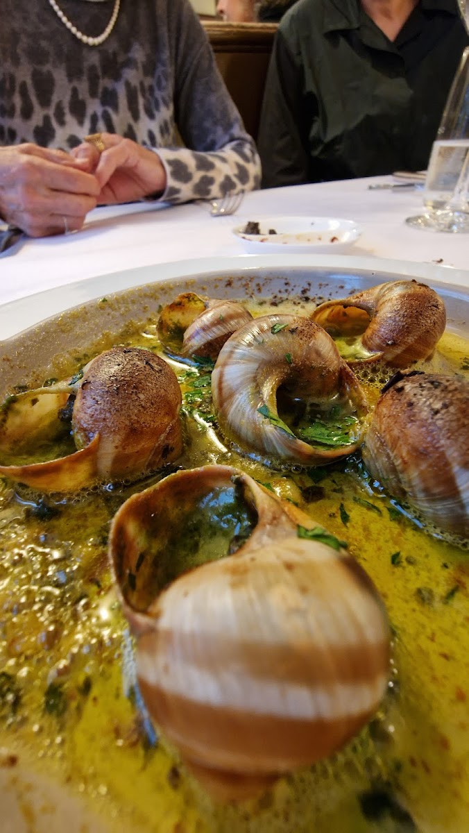 Zimmermania - Photo 6