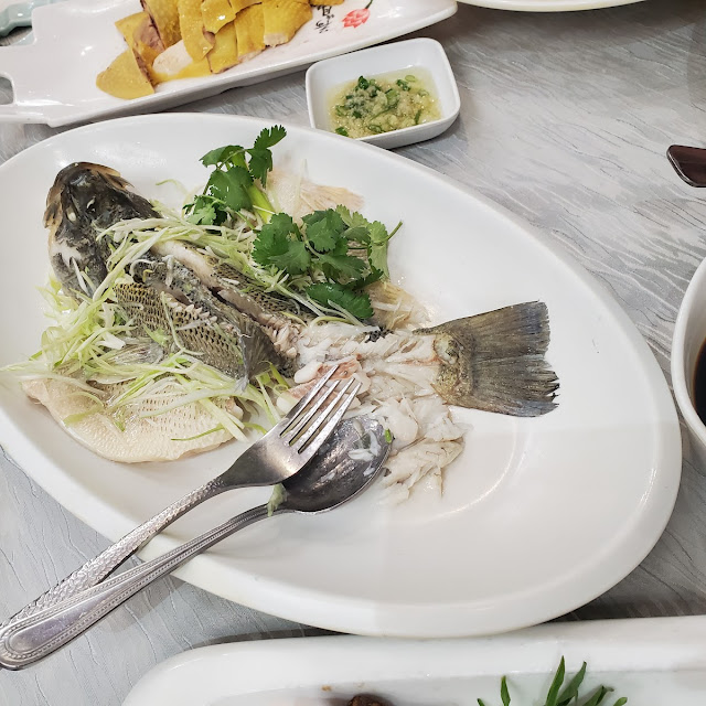 Steamed Salmon Head w Chinese Herbs
