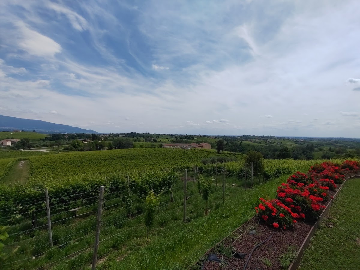 Agriturismo Il Cortivo - Photo 3