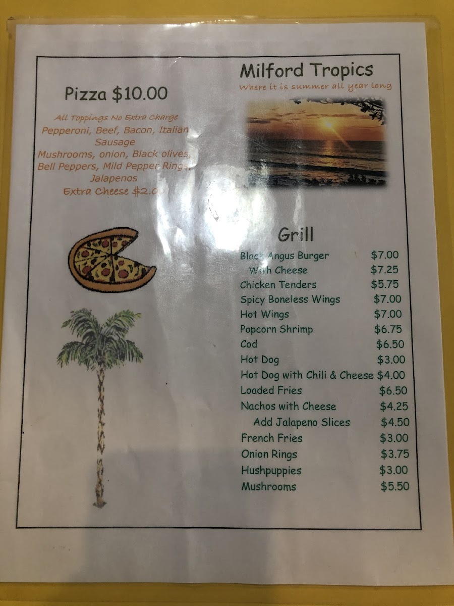 MILFORD TROPICS - Photo 8