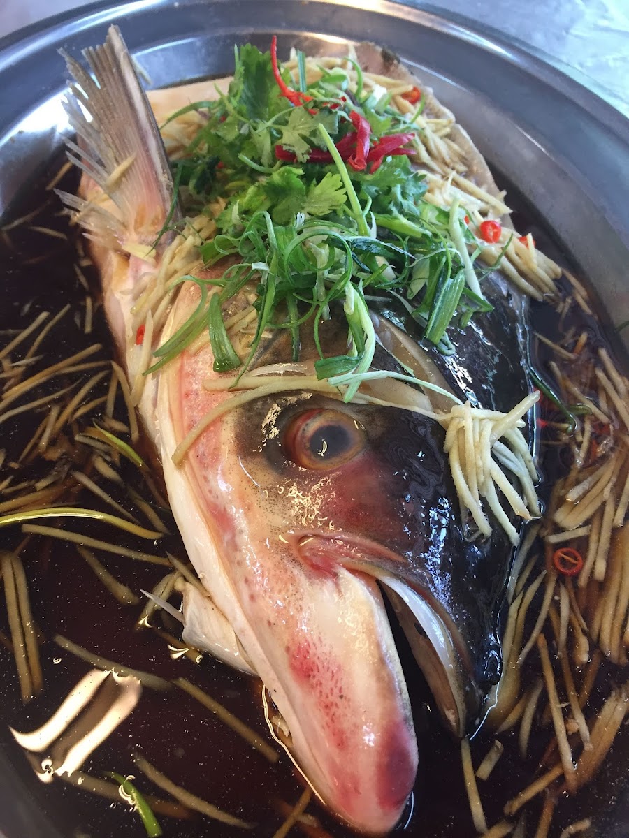 Kajang Steamed Fish Restaurant • 聚驿轩蒸鱼 - Photo 6