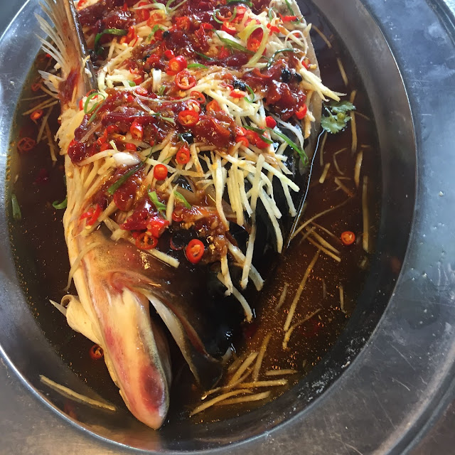 Steamed Fish Head