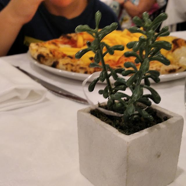 Ottima Pizza Complimenti