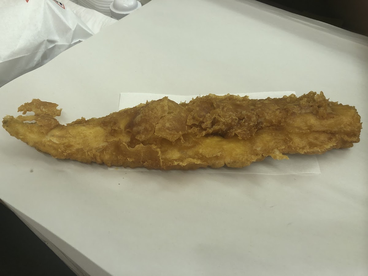 Golden Plaice - Photo 1