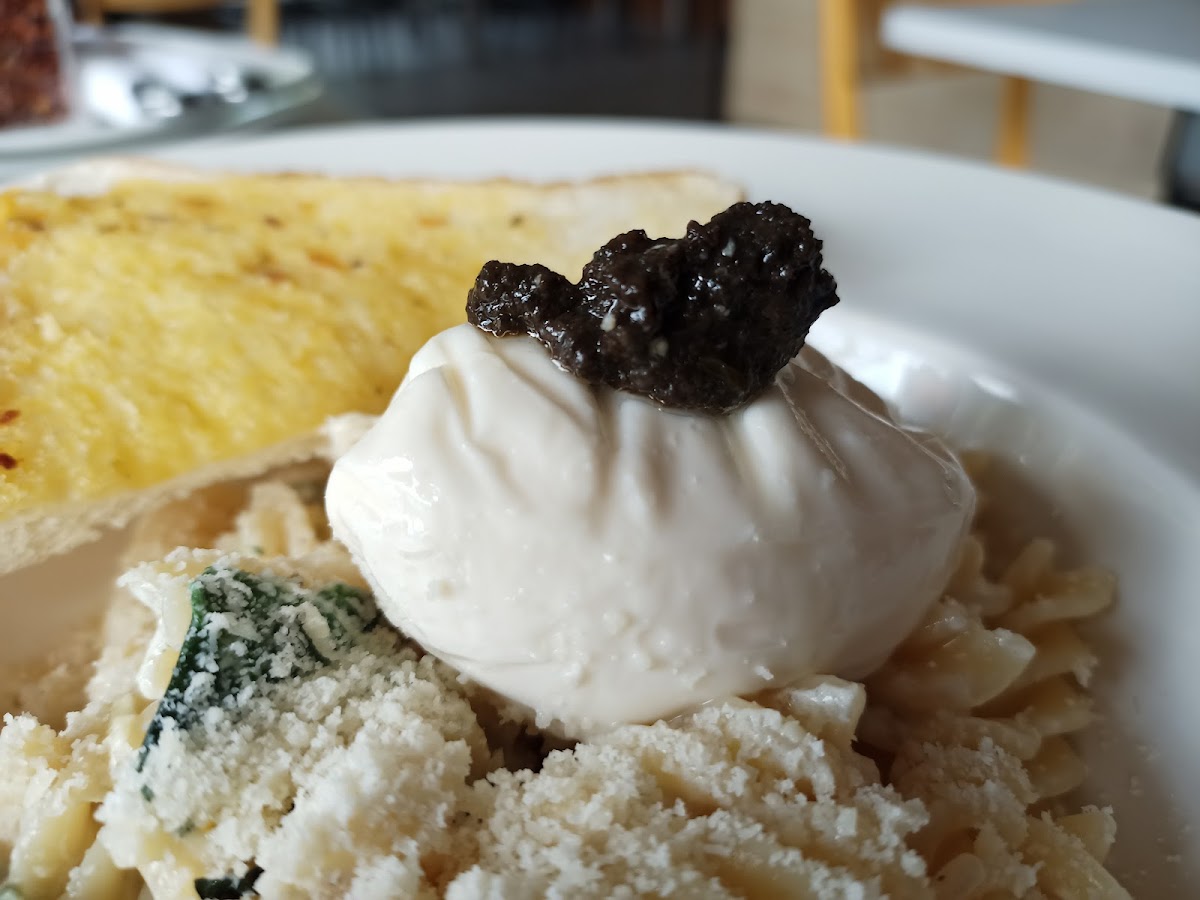 Massimo's - Photo 4