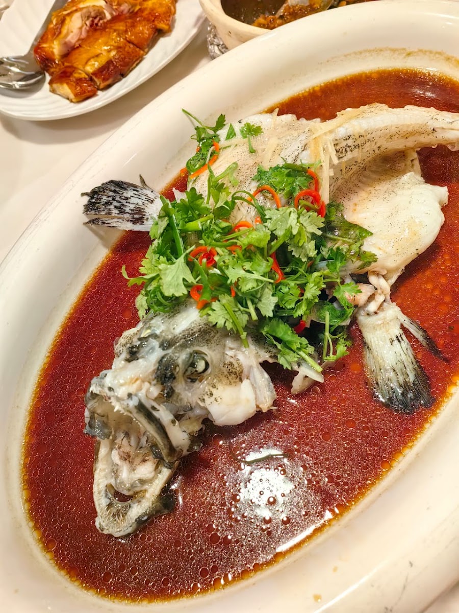 Zheng Kee Steamboat Restaurant - Photo 5