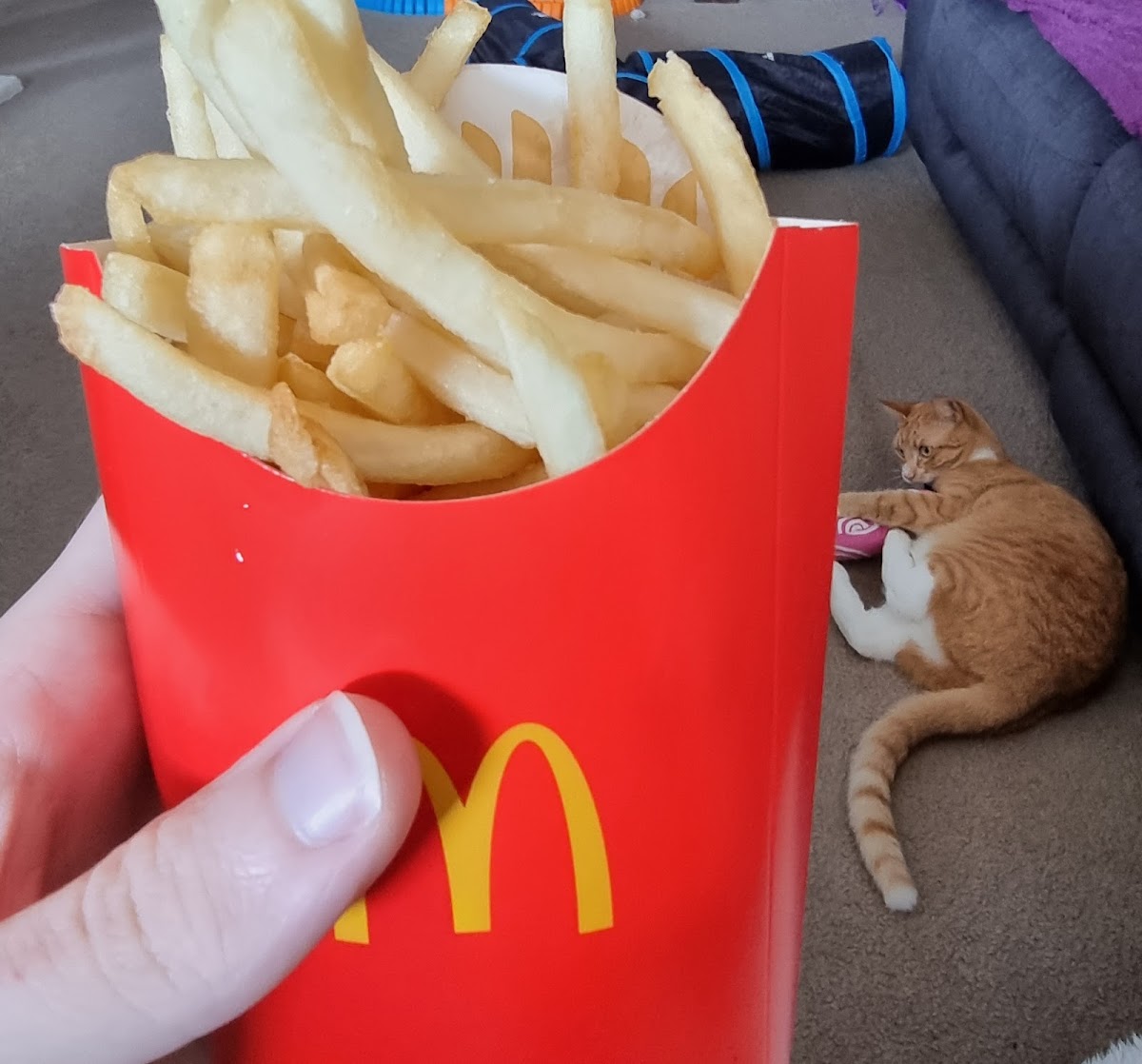 McDonald's Leopold - Photo 6