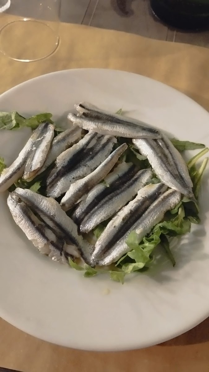 Osteria Gaetana - Photo 5