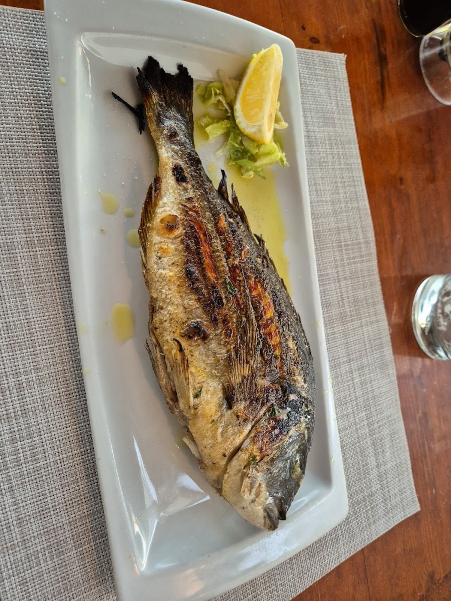 Konoba Porat - Pisak - Photo 9