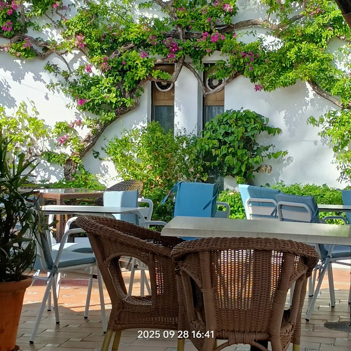 KAÏ - Málaga - Photo 6