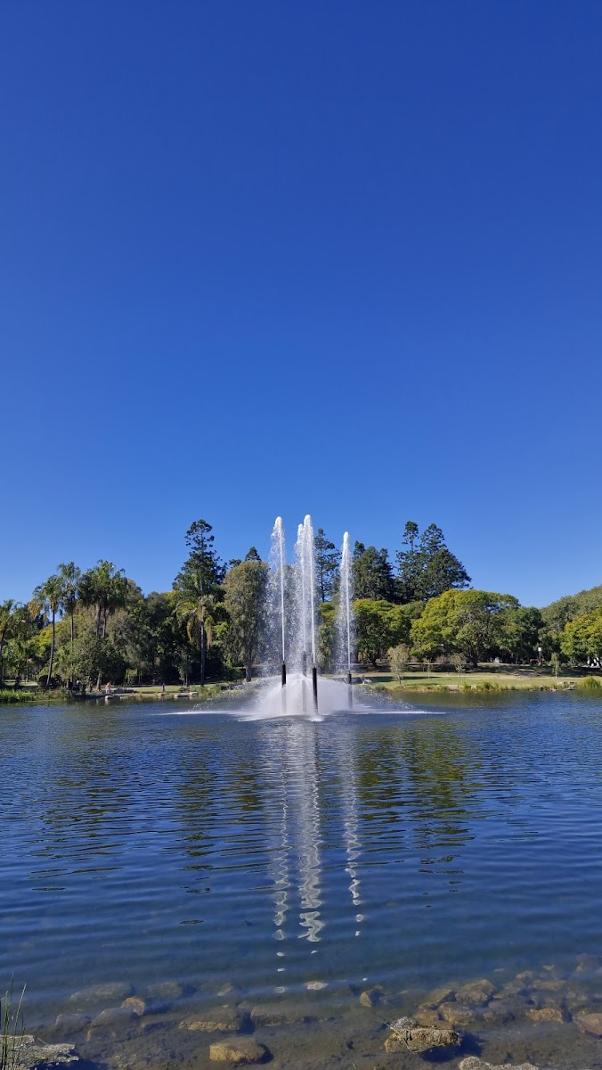 Lakeside Cafe - St Lucia QLD 4067 - Photo 3