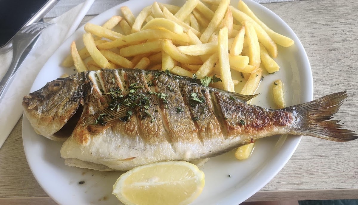 Bistro M - Rogotin - Photo 9
