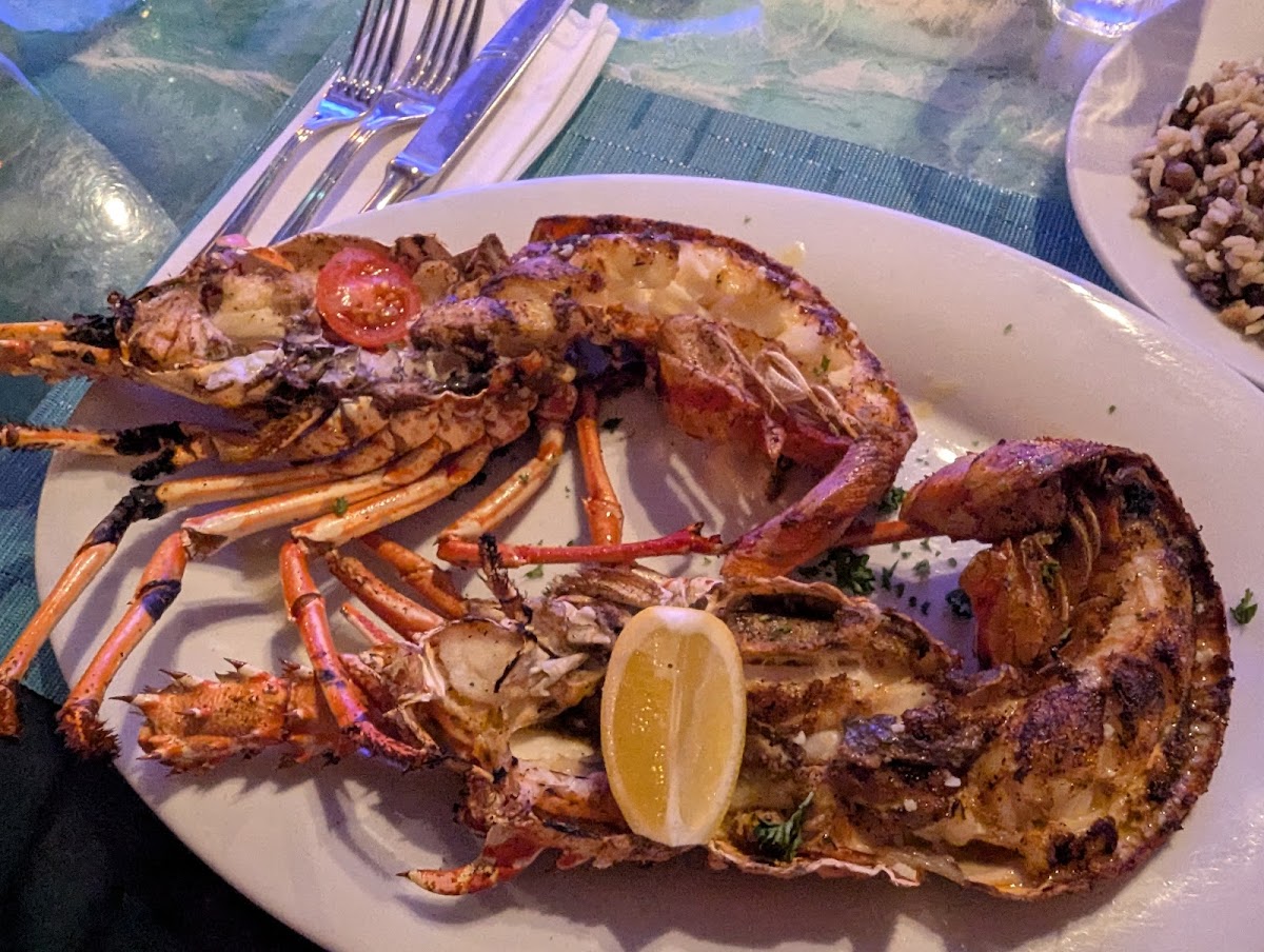 Sharky's - Photo 3