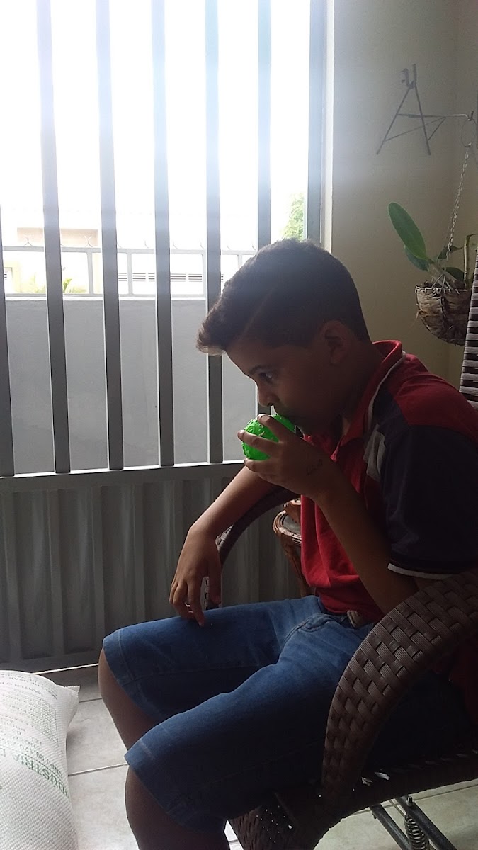 Cantinho da Pizza - 56760-000 - Photo 3