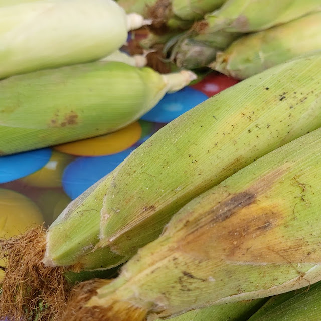 Corn