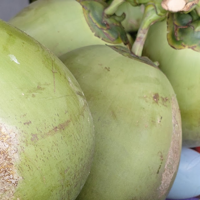 Coconut