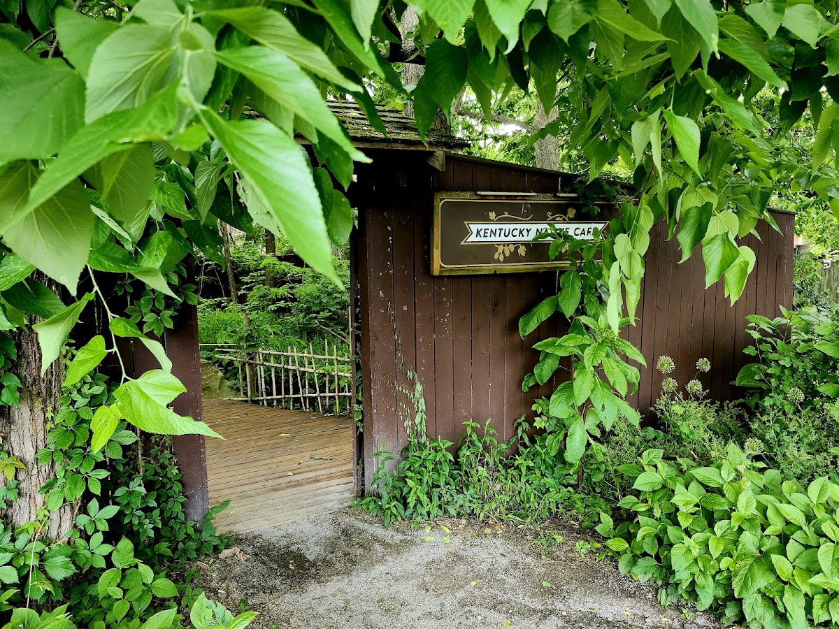 Kentucky Native Café - Photo 9