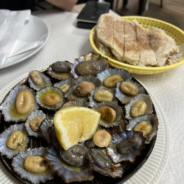 Muscheln