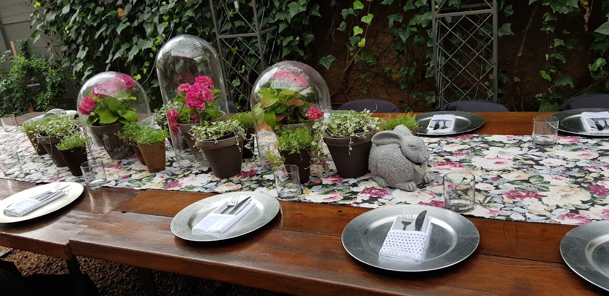 Alice in Waterkloof