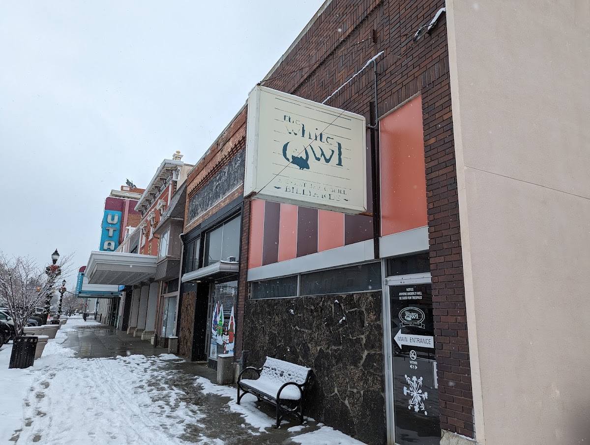 The White Owl - Photo 1
