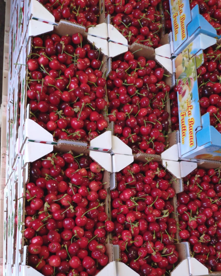 Pronto Cuoci dall'Ortolano 2.0. - Photo 4