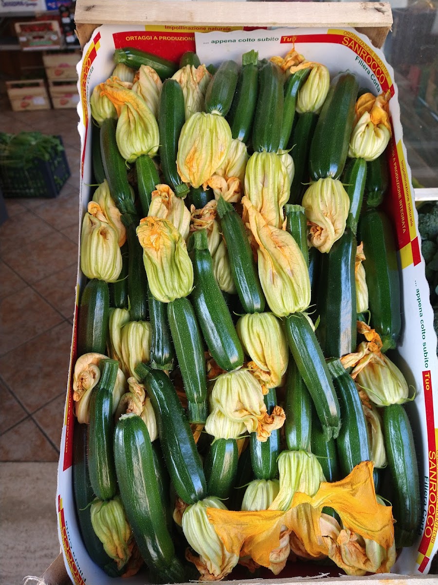 Pronto Cuoci dall'Ortolano 2.0. - Photo 7