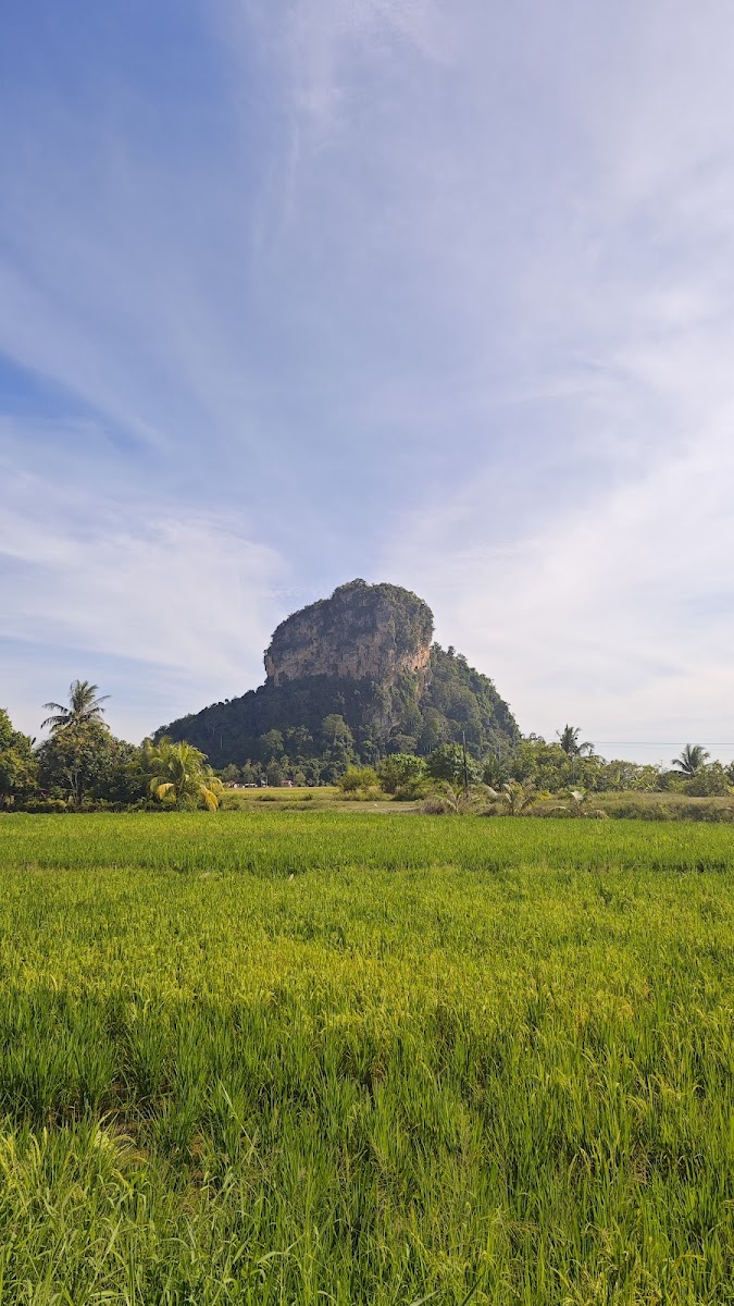 Kopi Gua Kerbau - Photo 3