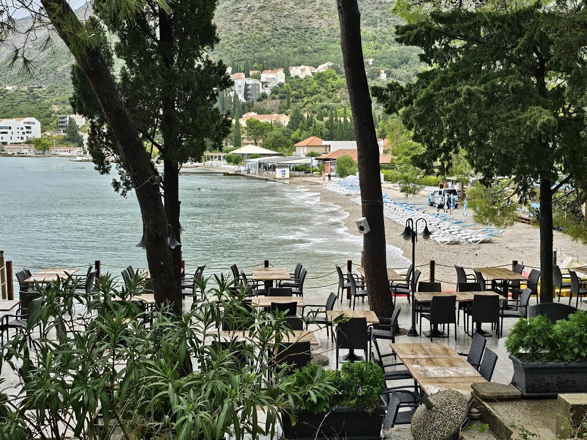 Cafe Bistro Zal - Photo 2