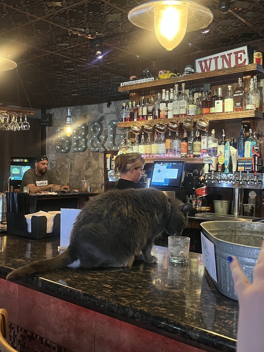 Station Bar & Grill - Photo 6