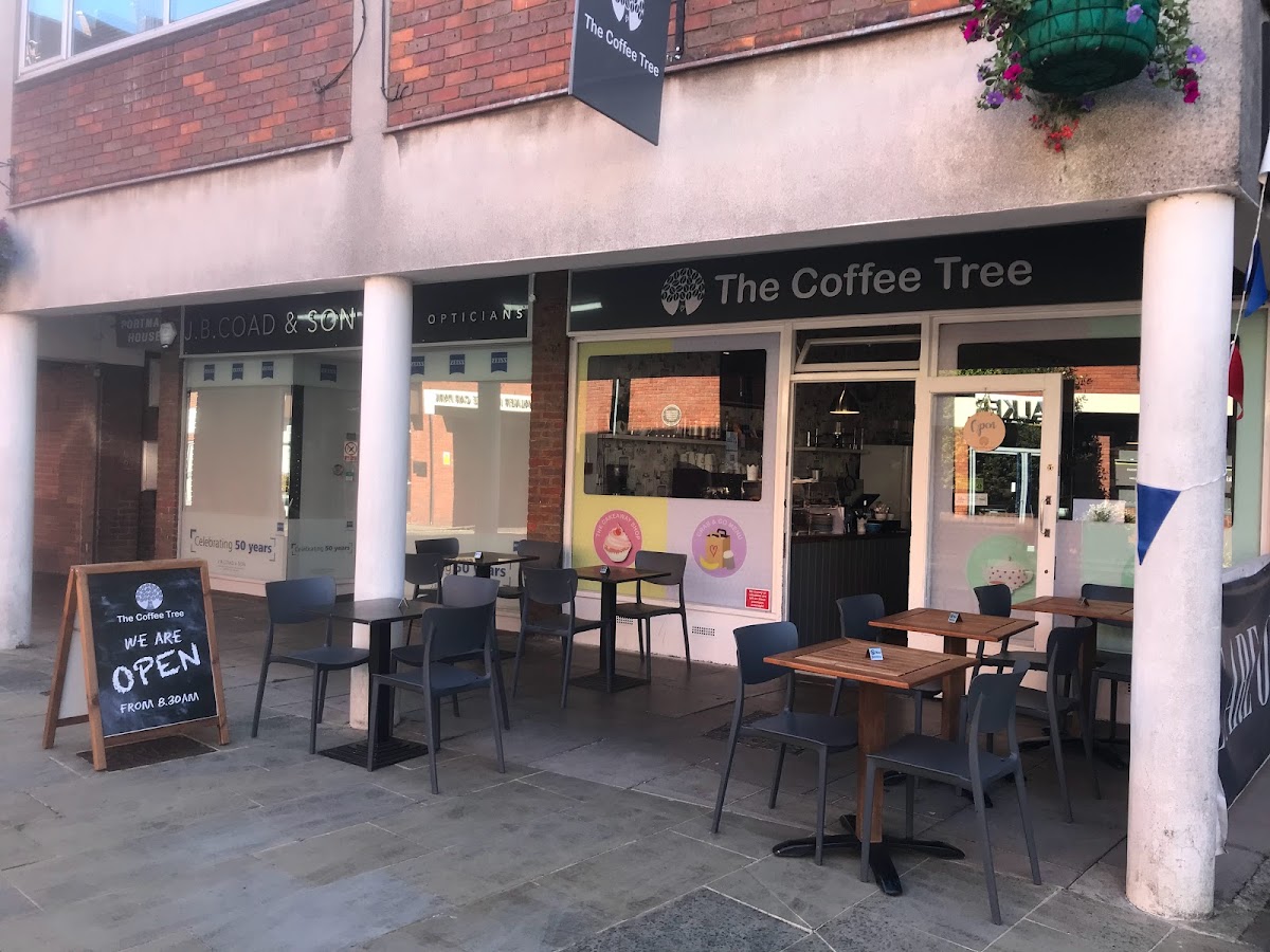 The Coffee Tree
