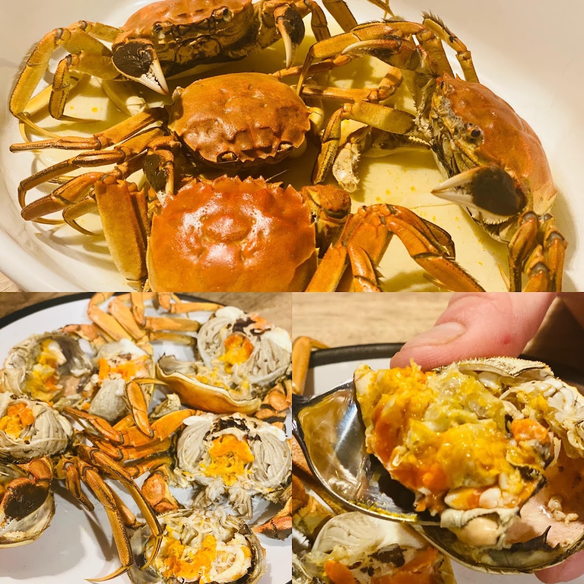 The seafood guy by 1998 Cafe - Photo 1