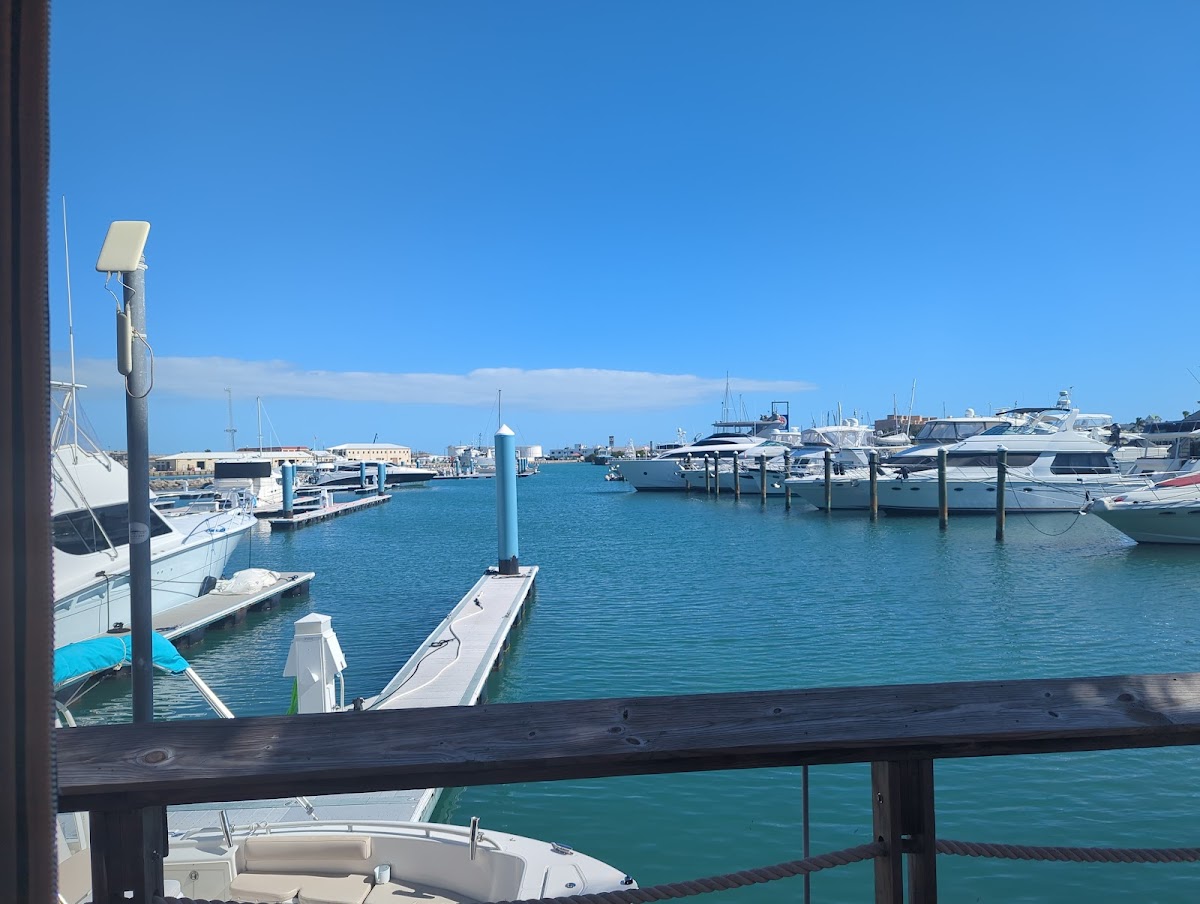 Pirate's Cove Key West - Photo 2