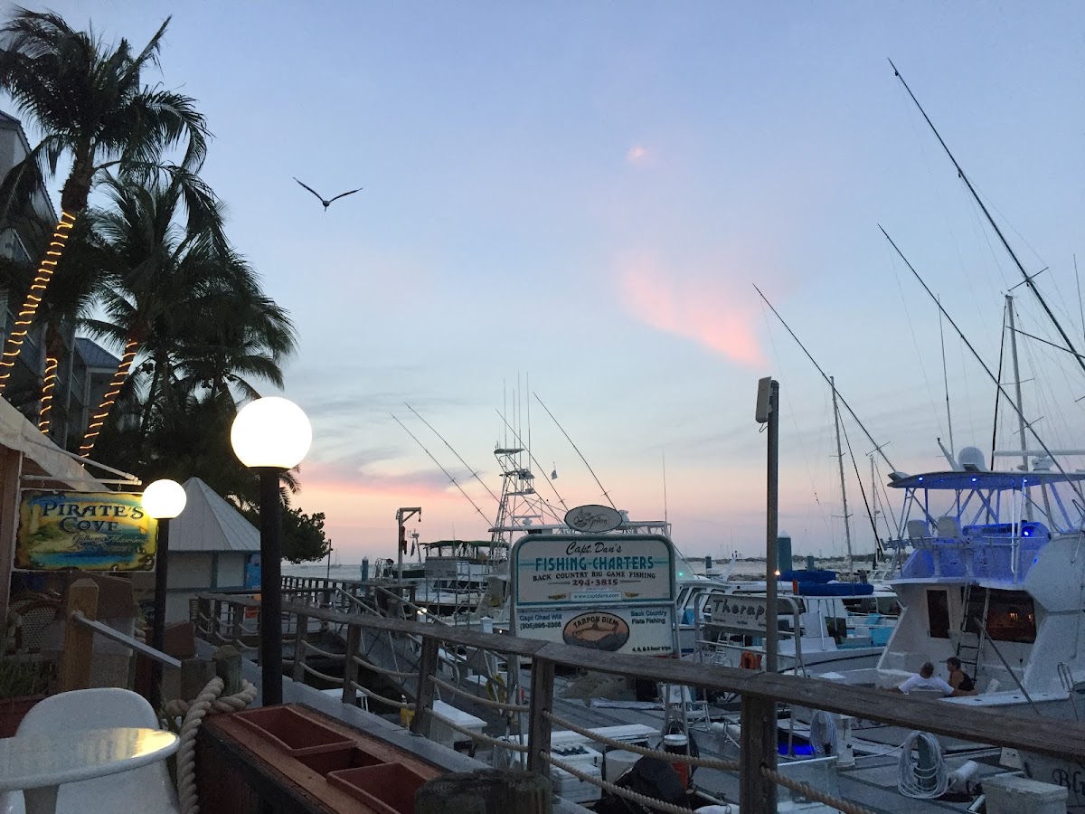 Pirate's Cove Key West - Photo 4