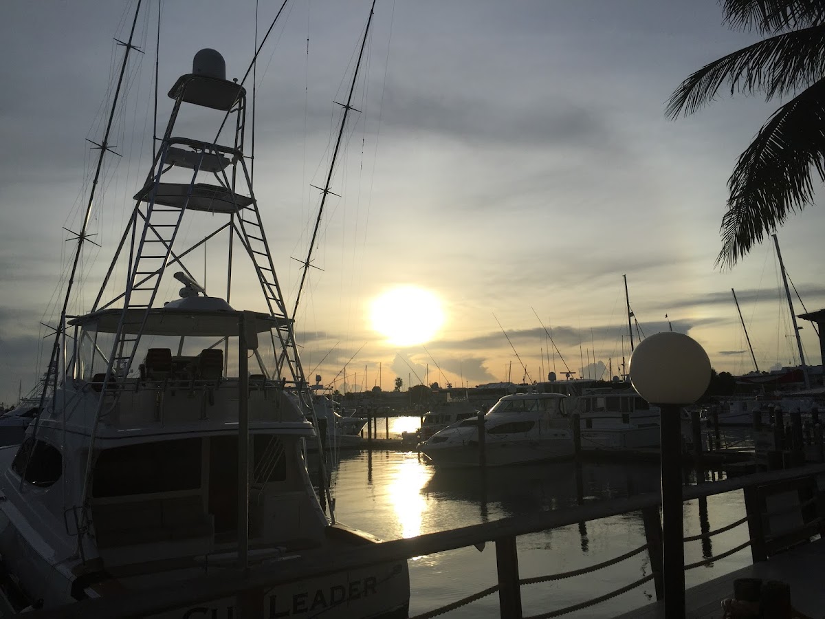 Pirate's Cove Key West - Photo 6