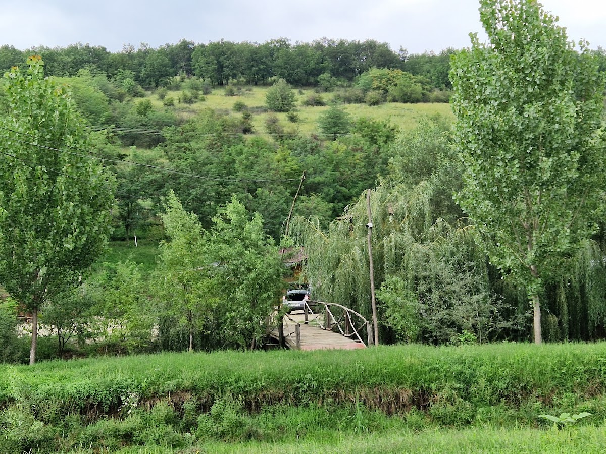 Lacul Vrajitorilor - Photo 3