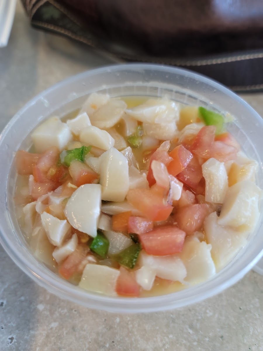 Conch Heaven - Photo 4