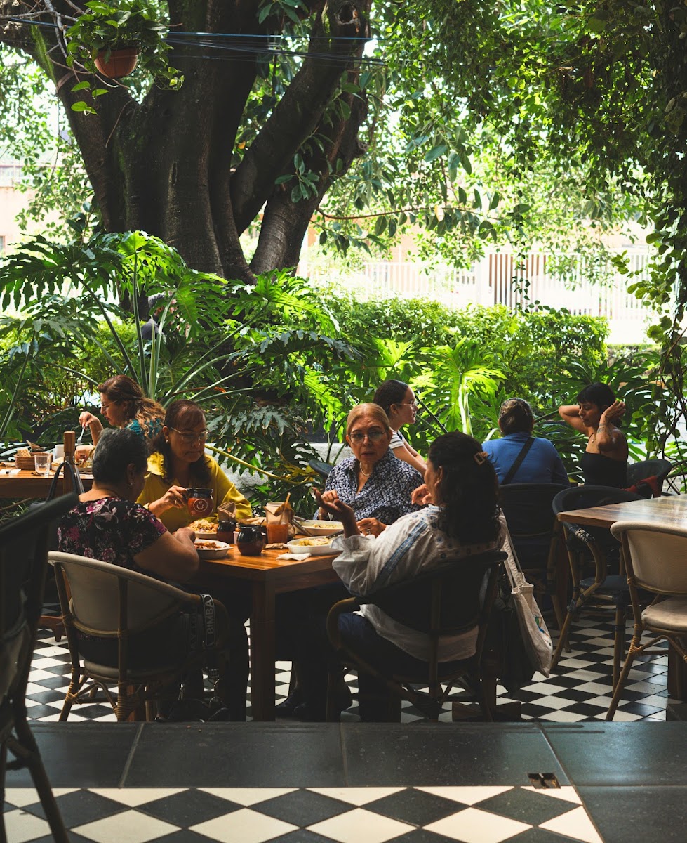 Café San Pedro - Chapalita