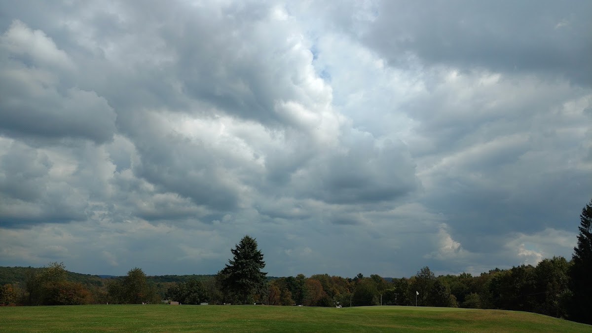Morgan Hills Restaurant and Golf - Photo 7