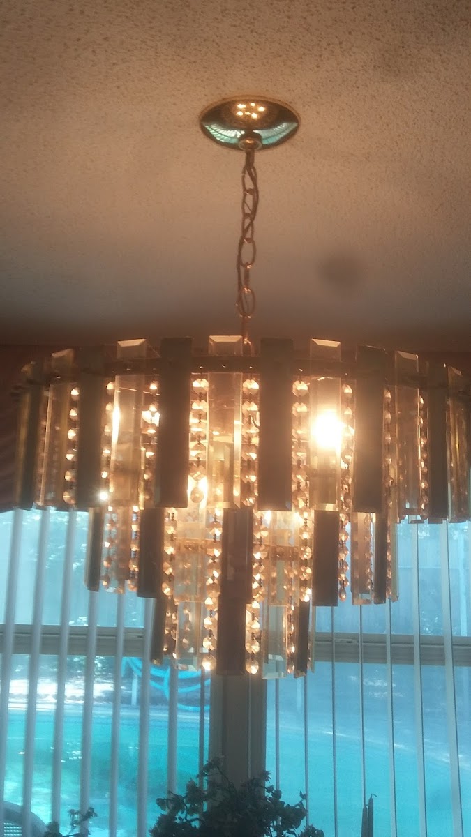 Ridge Road Tavern - Photo 7