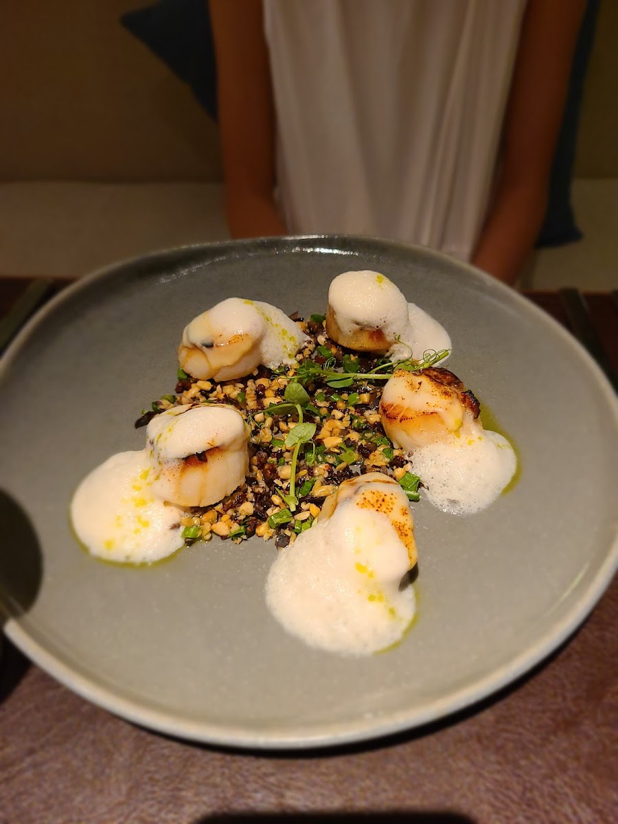 CASSIA Restaurant - Photo 6